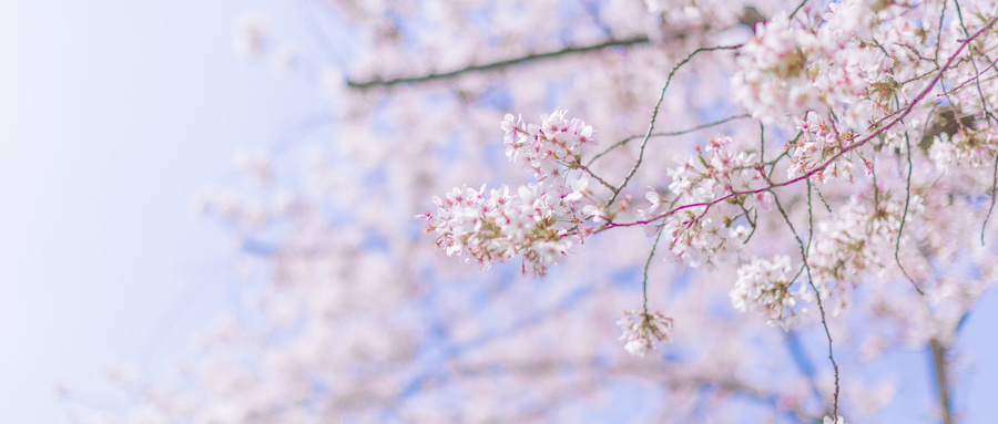 白內(nèi)障癥狀